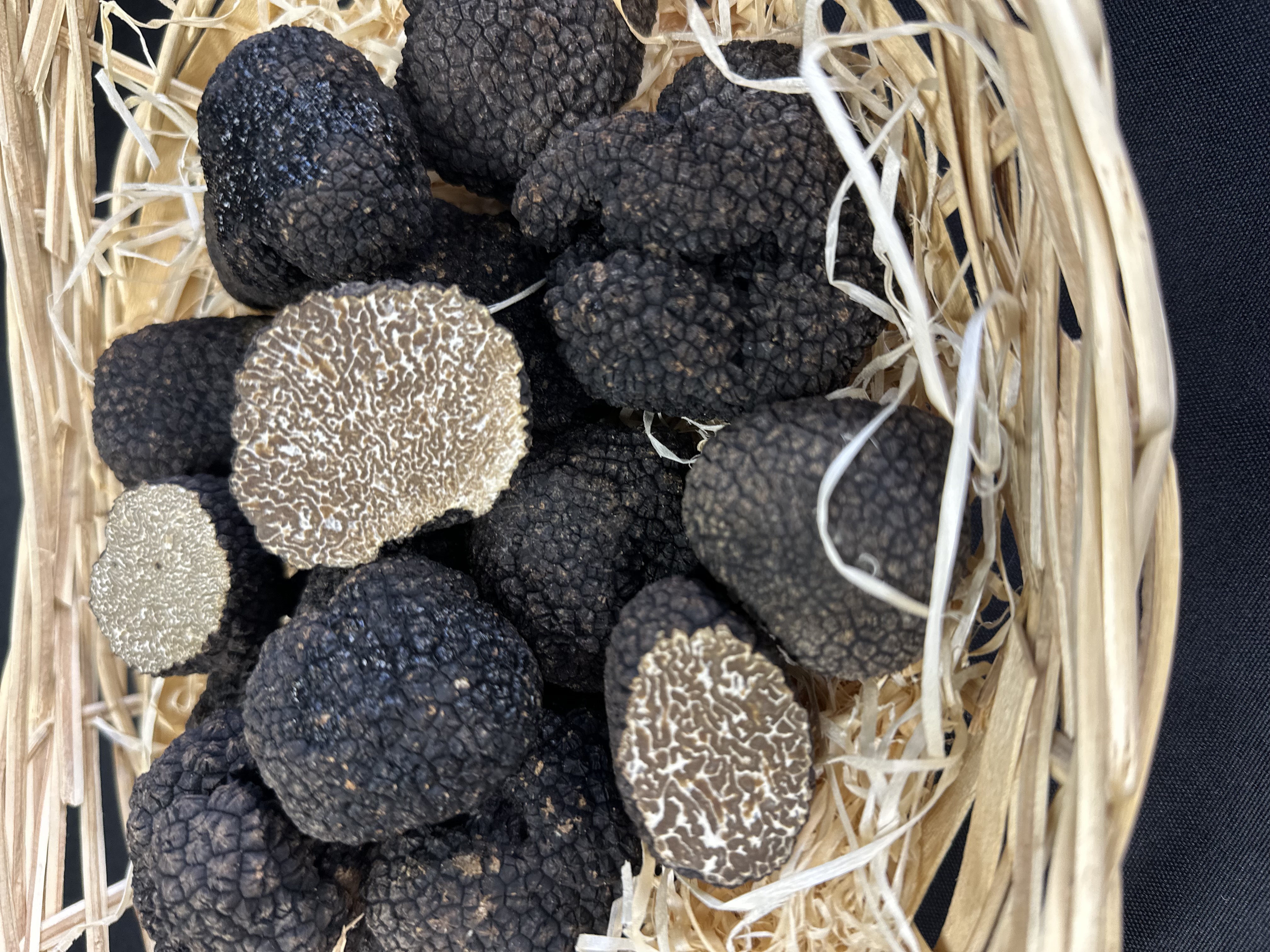 Frischer Trüffel (Tuber uncinatum) Reifegrad kontrolliert! Ab Herbst 2026 wieder verfügbar!