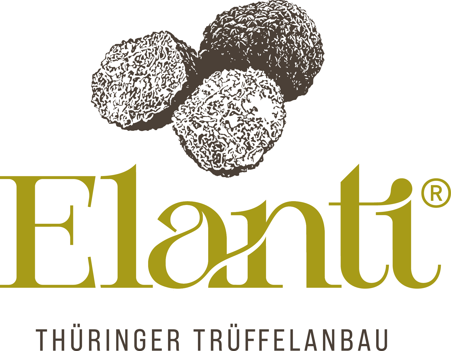 Zur Startseite gehen